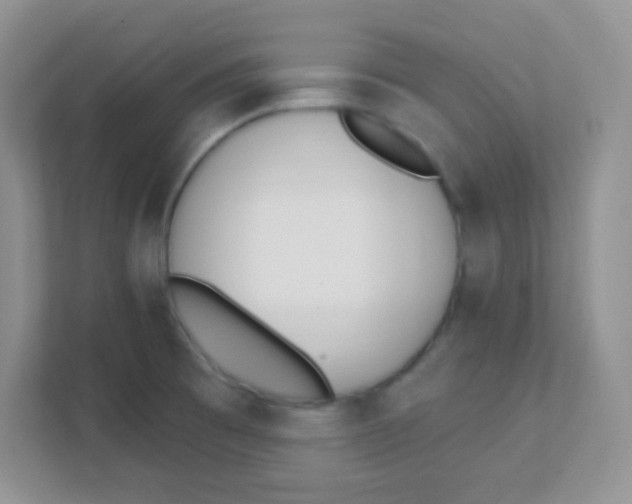 X0000111381473200907311043