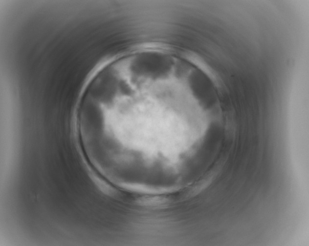 X0000111381474200907311043