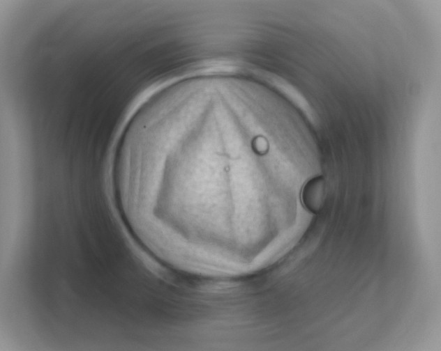 X0000111381475200907311043