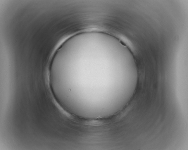 X0000111381476200907311043