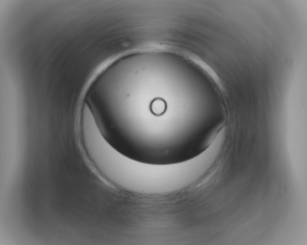 X0000111381477200907311043