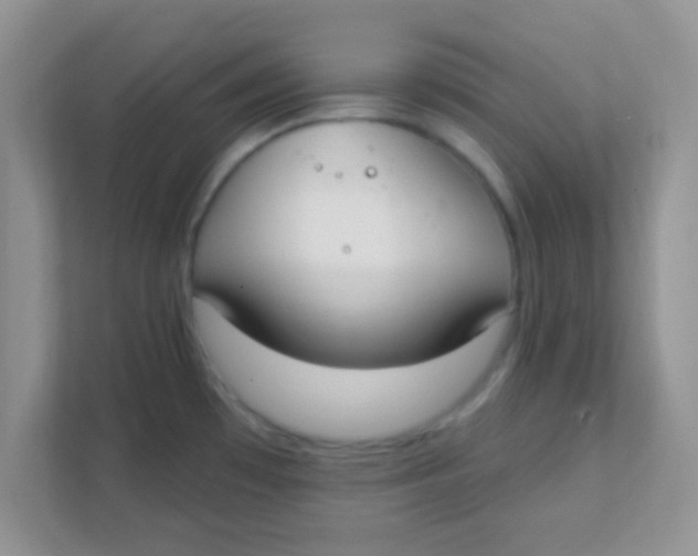 X0000111381481200907311043