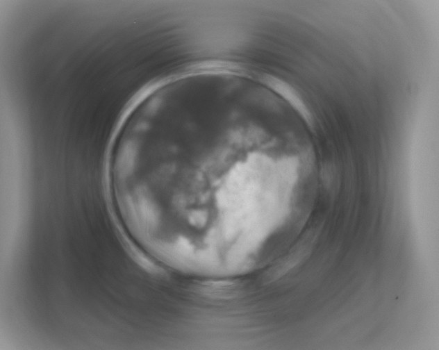 X0000111381482200907311043