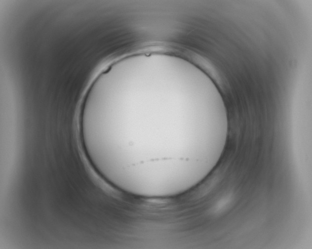 X0000111381483200907311043