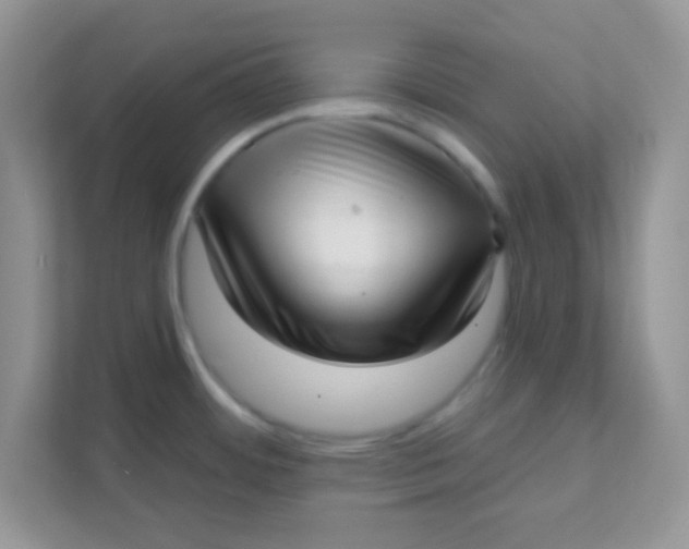 X0000111381484200907311043