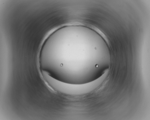 X0000111381485200907311043