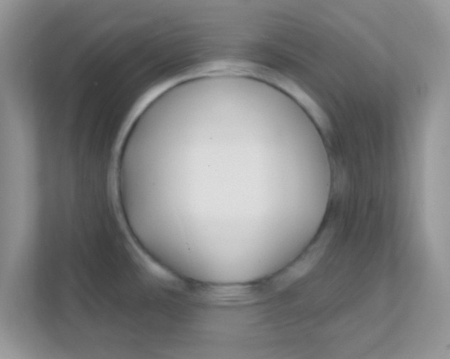 X0000111381486200907311043