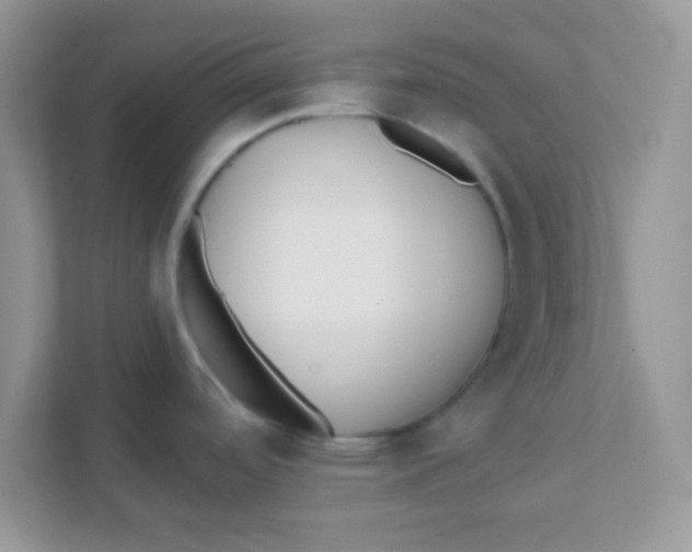 X0000111381488200907311043