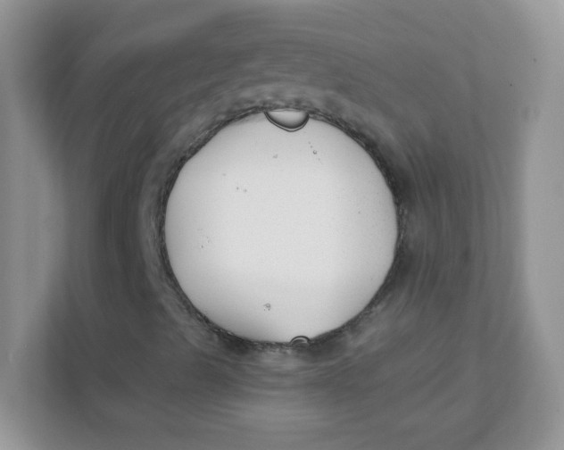 X0000111381489200907311043