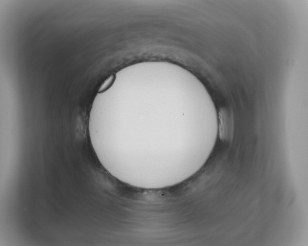 X0000111381491200907311043