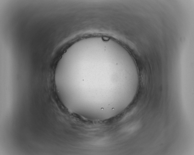 X0000111381494200907311043