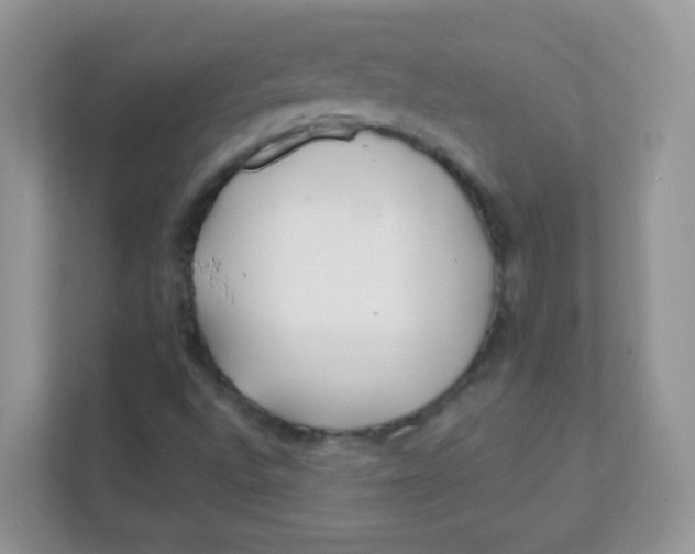 X0000111381496200907311043