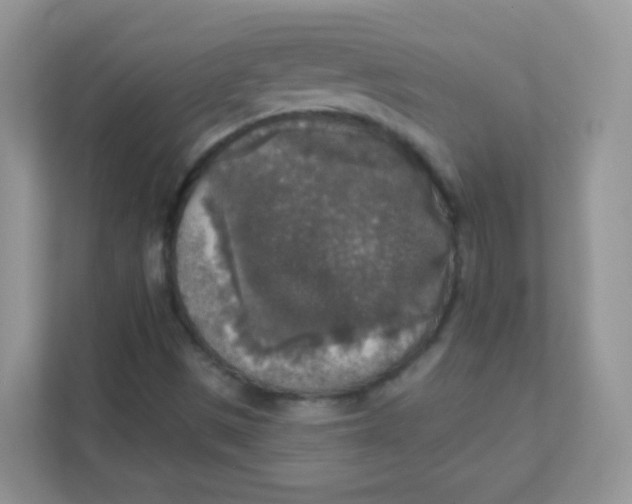 X0000111381497200907311043