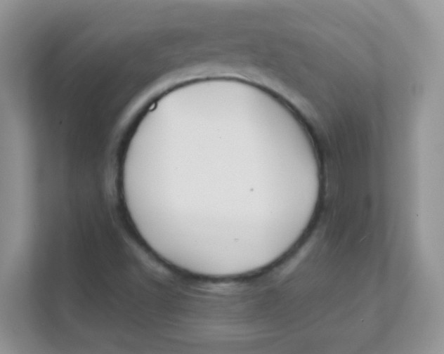 X0000111381502200907311043