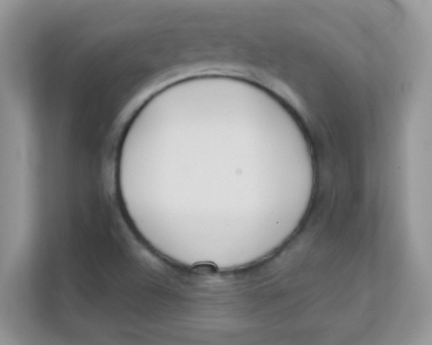 X0000111381504200907311043