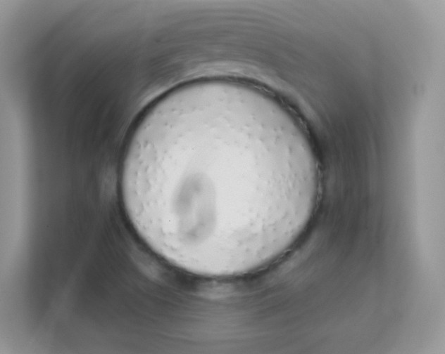 X0000111381505200907311043