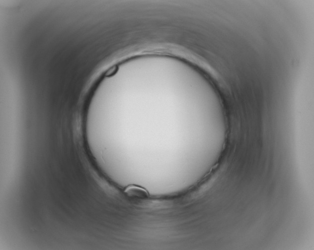 X0000111381506200907311043