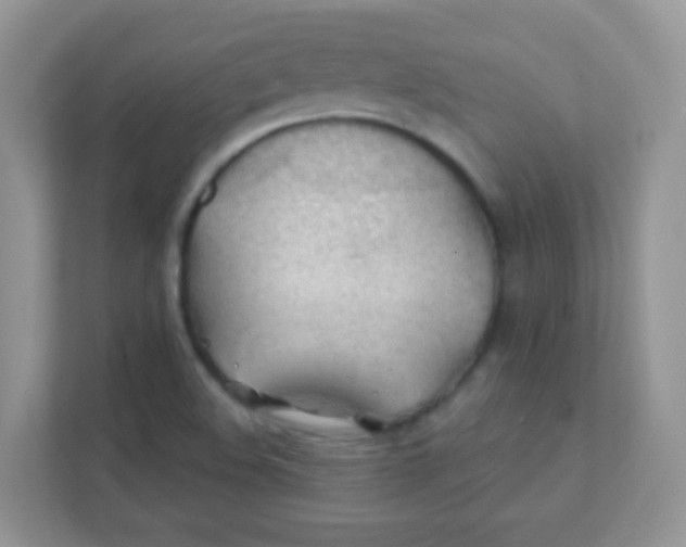 X0000111381508200907311043