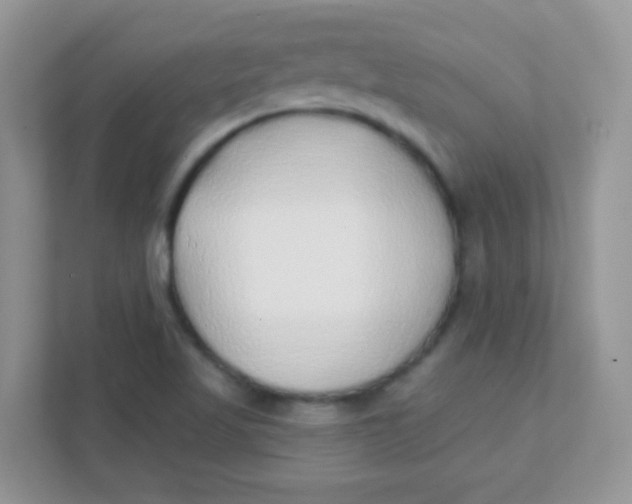 X0000111381509200907311043