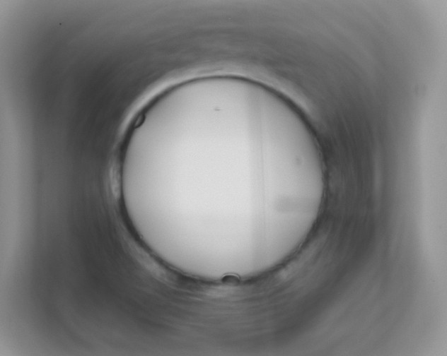 X0000111381510200907311043