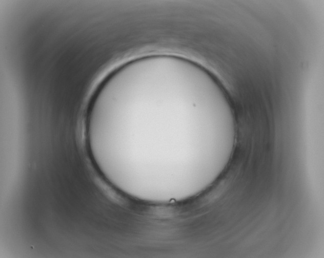 X0000111381511200907311043