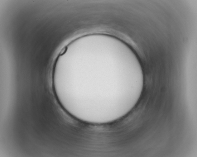 X0000111381512200907311043