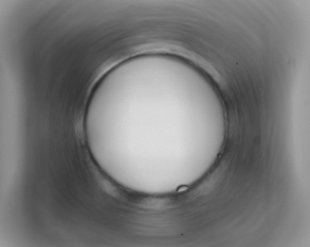 X0000111381513200907311043