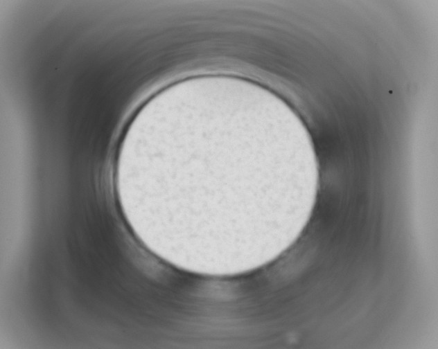 X0000111381514200907311043