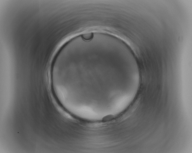 X0000111381515200907311043