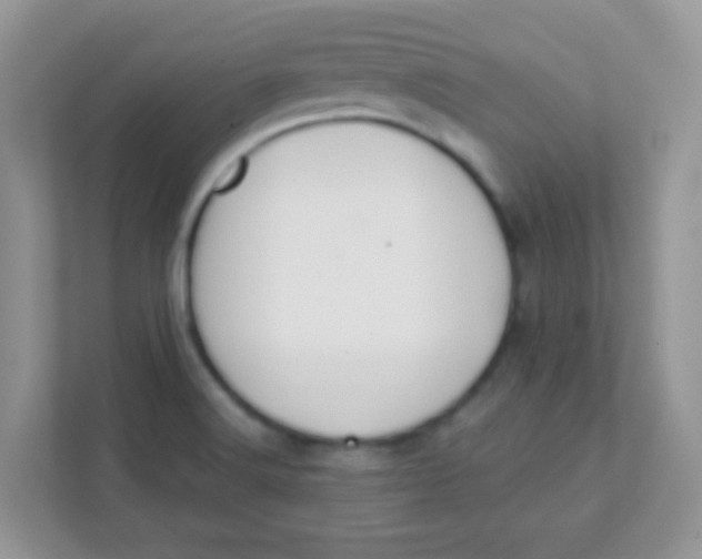 X0000111381516200907311043