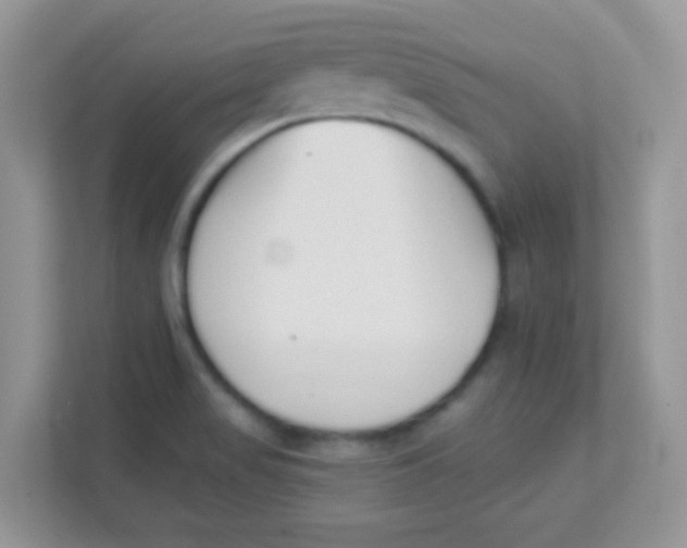 X0000111381517200907311043