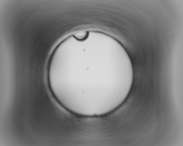 X0000111381518200907311043