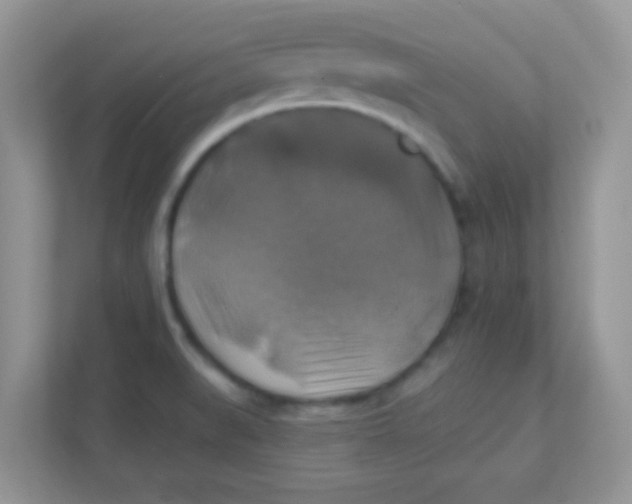 X0000111381519200907311043