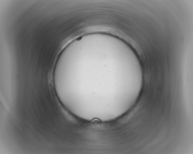 X0000111381521200907311043