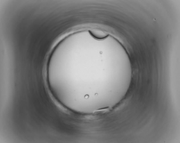 X0000111381523200907311043