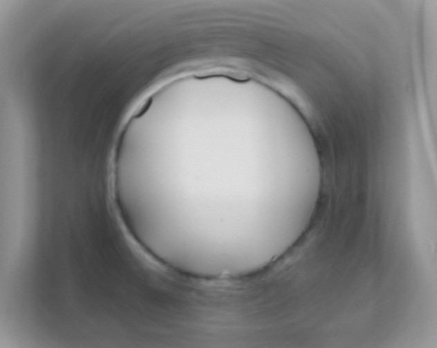 X0000111381524200907311043