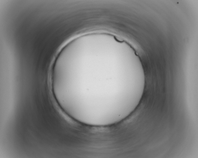 X0000111381526200907311043