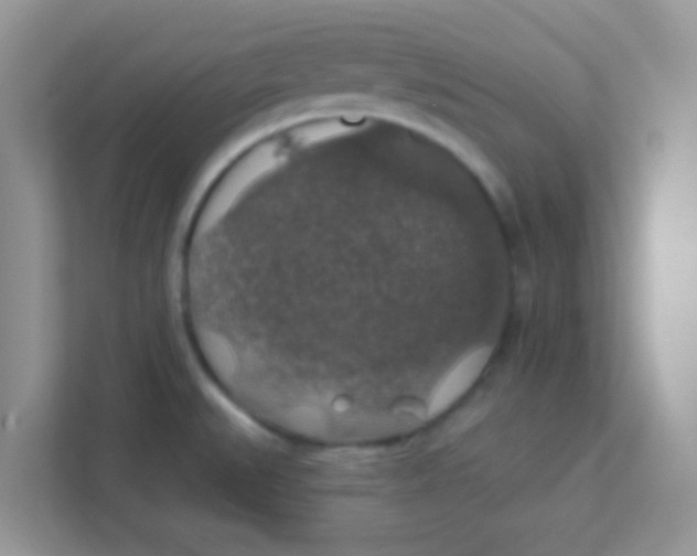 X0000111381527200907311043