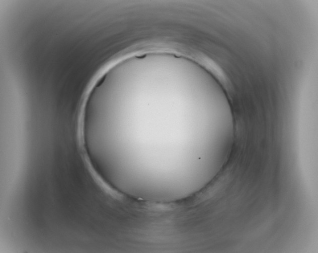 X0000111381528200907311043