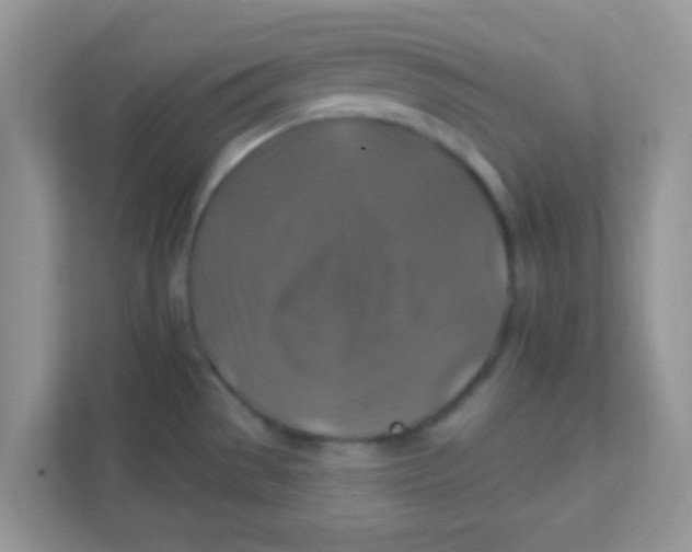 X0000111381529200907311043