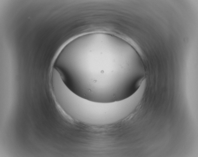 X0000111381532200907311043