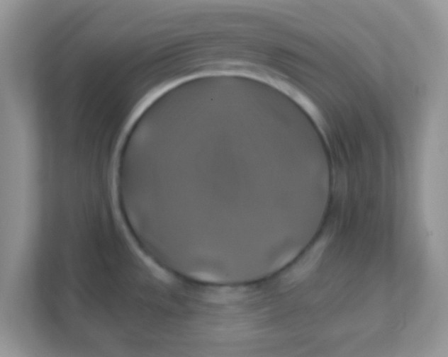 X0000111381533200907311043