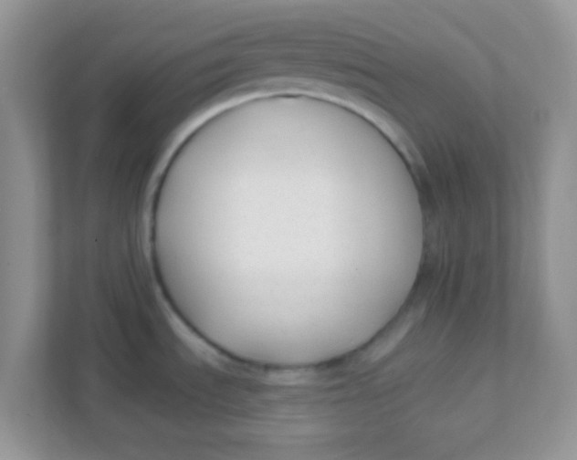 X0000111381535200907311043