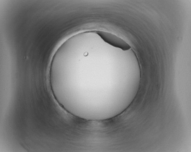 X0000111381536200907311043