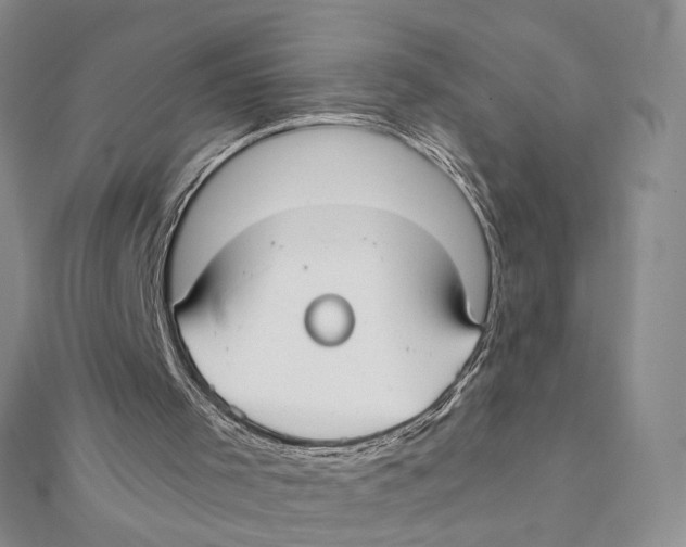 X0000111380001200908071244