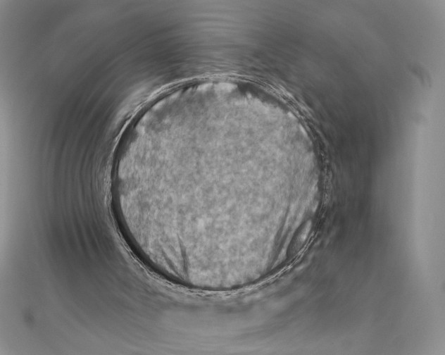 X0000111380002200908071244