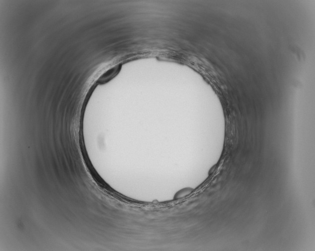 X0000111380003200908071244