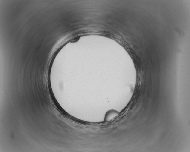 X0000111380004200908071244