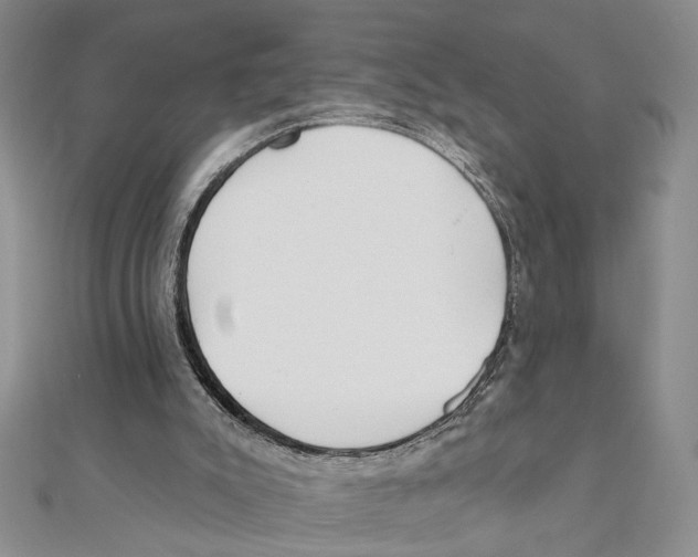 X0000111380007200908071244