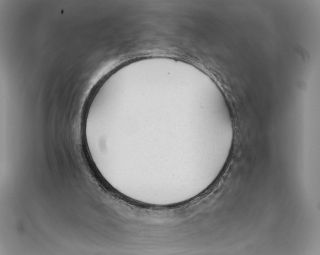 X0000111380008200908071244